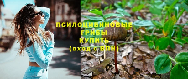 крисы Абдулино