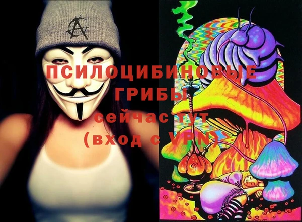 крисы Абдулино