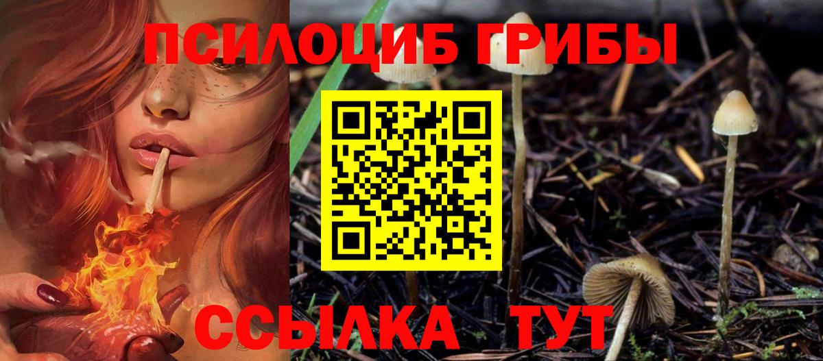 Псилоцибиновые грибы MAGIC MUSHROOMS  Вход с VPN  Галлюциногенные грибы GOLDEN TEACHER  Саранск 