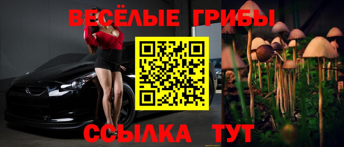 Псилоцибиновые грибы GOLDEN TEACHER Саранск